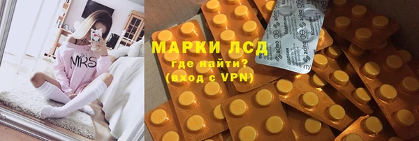 PSILOCYBIN Навашино
