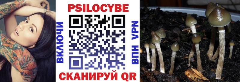 Псилоцибиновые грибы ЛСД  Лабинск 