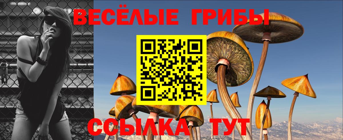 Псилоцибиновые грибы Magic Shrooms Лабинск