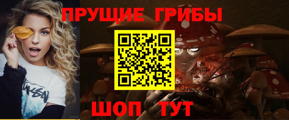 Галлюциногенные грибы Cubensis  Лабинск 